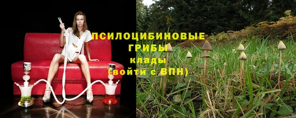 крисы Абдулино