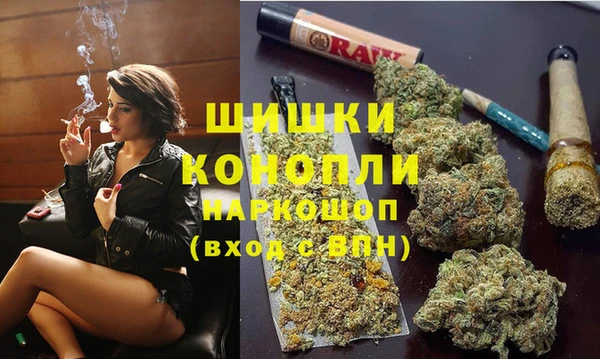 крисы Абдулино
