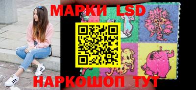 индика Сланцы