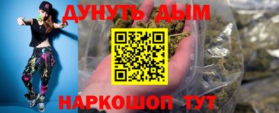 индика Сланцы