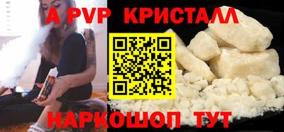 индика Сланцы