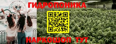 индика Сланцы