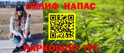 индика Сланцы