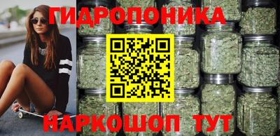 соль ск Славгород