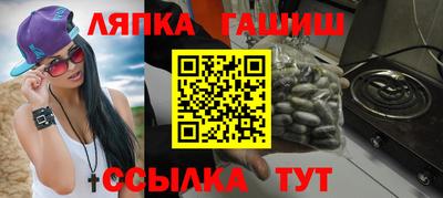 индика Сланцы