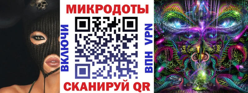 блэк спрут   Отрадный  Псилоцибиновые грибы Psilocybe 