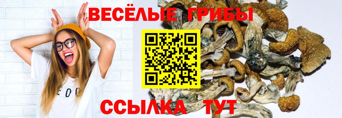 Псилоцибиновые грибы мицелий  Вход с VPN  Галлюциногенные грибы мицелий  Отрадный 